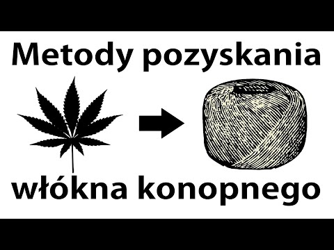 Jak pozyskuje się włókno konopne dla przem..