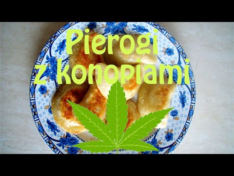 Przepis na pierogi z konopiami babci Marianny..