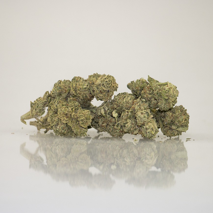 Amnesia - Susz konopny CBD do 11 %, THC poni..